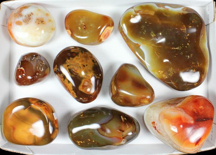 Lot: lbs Colorful, Polished Carnelian Agate - Pieces #91850